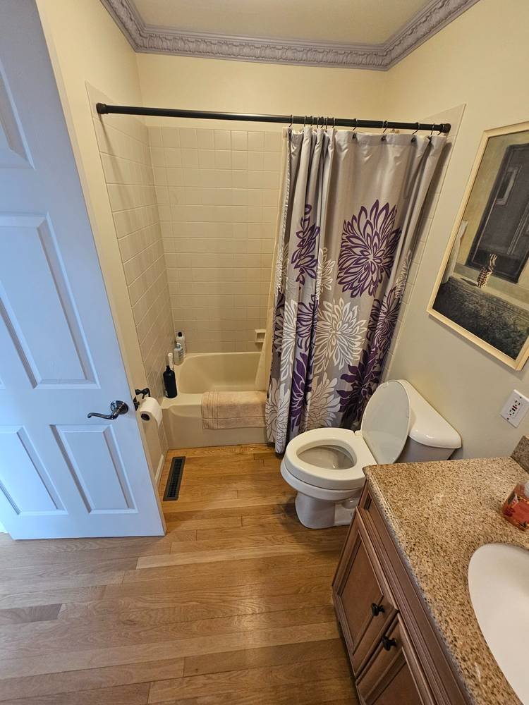 Bathroom before renovation — tub shower combo with curtain, Barrington IL