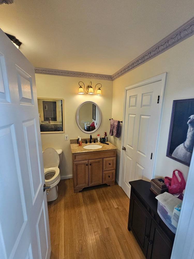 Bathroom before remodel — dated vanity, old lighting, Barrington IL