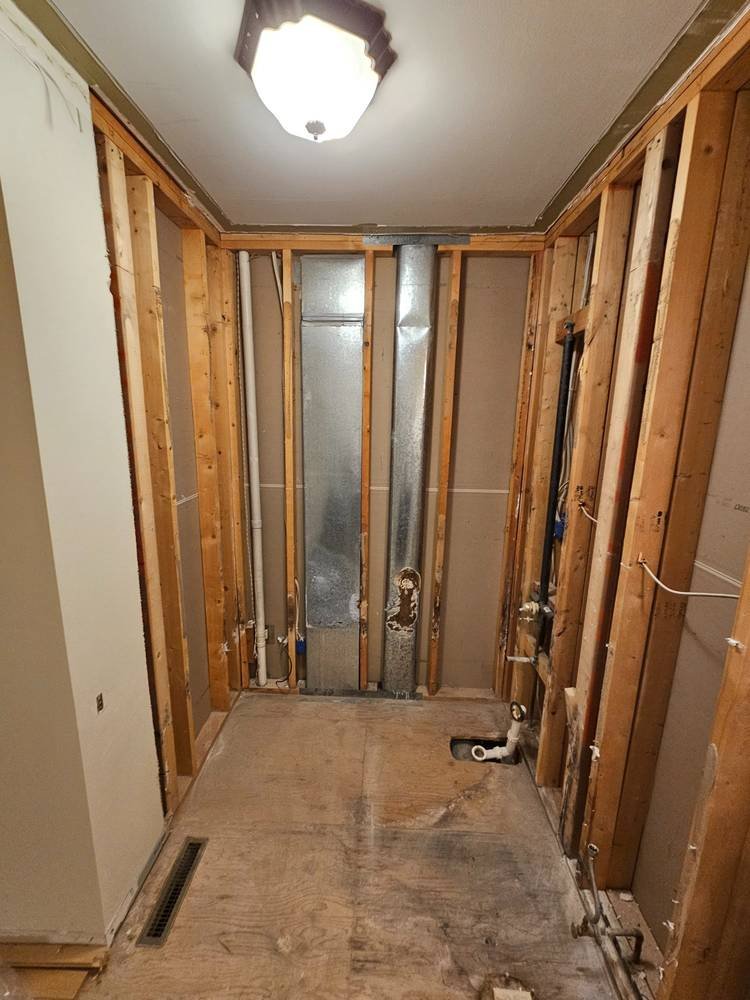 Bathroom full gut demo to studs — Barrington IL remodeling contractor